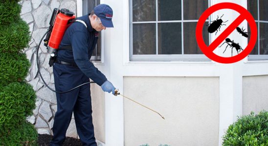 Bornova Kene İlaçlama böcek ilaçlama ve haşere kontrolü — ilaclama-tr.com